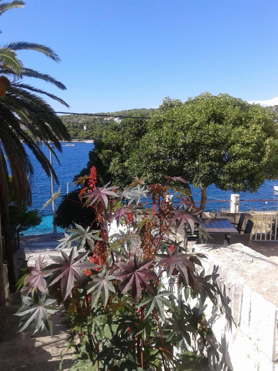 Apartman Radosic Hvar Town Exterior photo
